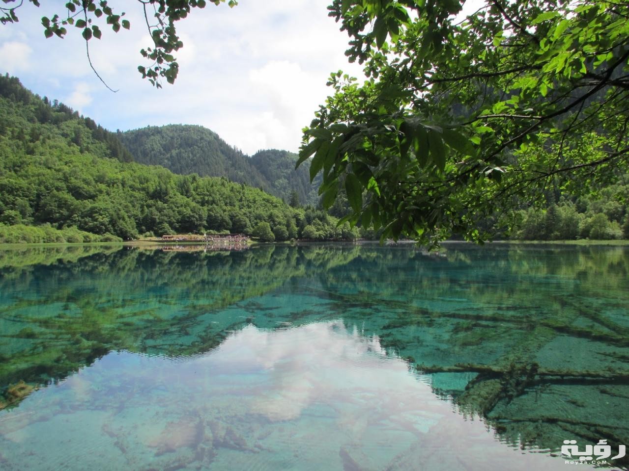 صور مناظر طبيعية جميلة