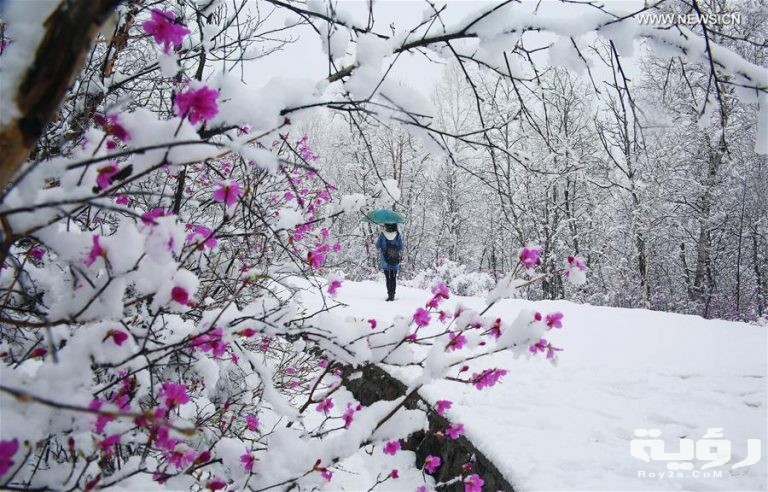 صور مناظر طبيعية جميلة