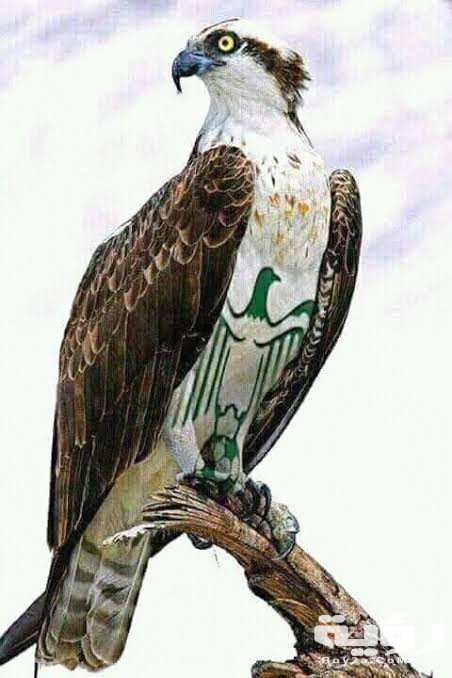 صور خلفيات شعار الرجاء