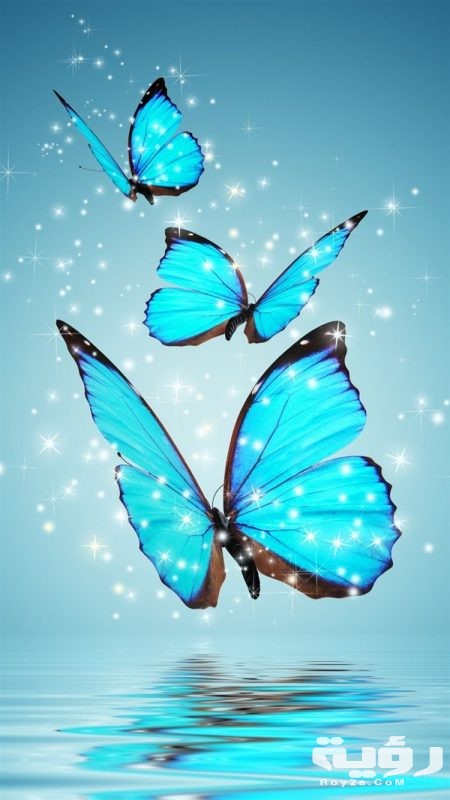 صور خلفيات سامسونج