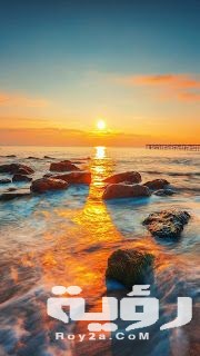 صور خلفيات هادئة وجميلة