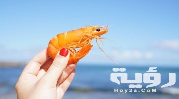 اسم حيوان بحرف ر الراء