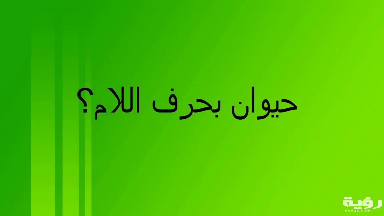 اسم حيوان بحرف ل اللام