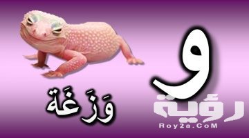 اسم حيوان بحرف و الواو