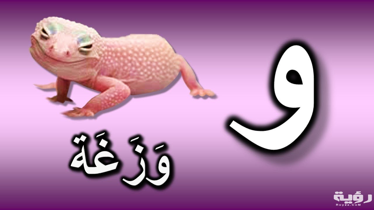 اسم حيوان بحرف و الواو 5 اسم حيوان بحرف و الواو