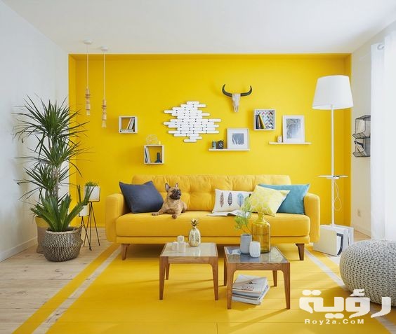 warna kuning untuk ruang tamu