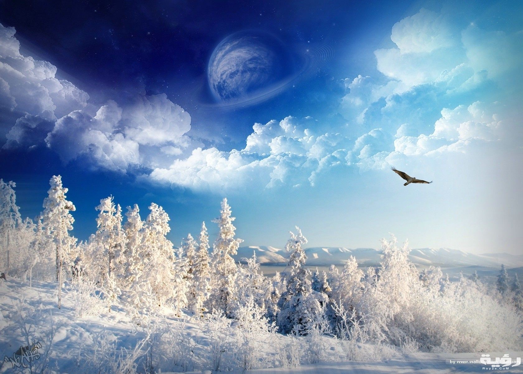 winter wonderland wallcoocom