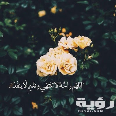 اجمل الصور و العبارات للفيس بوك 15