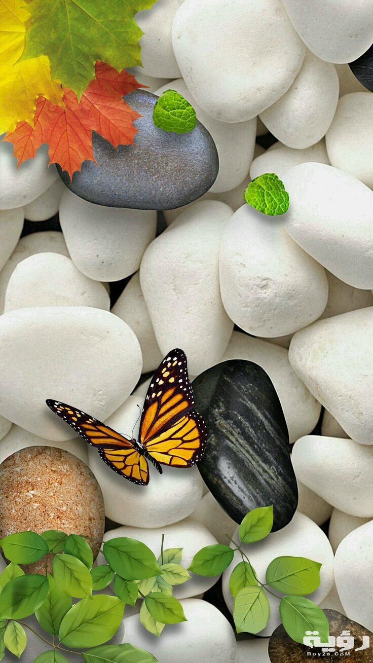 صور خلفيات ثري دي للموبايل 2021