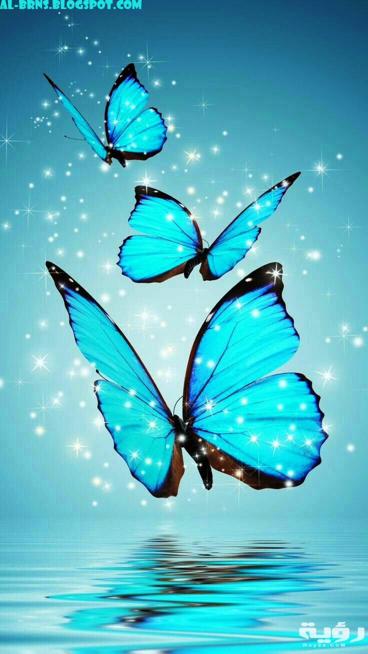 صور خلفيات هادئة للهاتف 2021