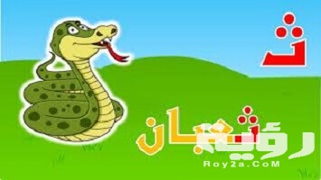 اسم حيوان بحرف ث الثاء