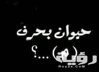 اسم حيوان بحرف م الميم 5 اسم حيوان بحرف م الميم