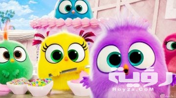 صور خلفيات كيوت 2026 خلفيات hd للجوال او للموبايل او للايفون