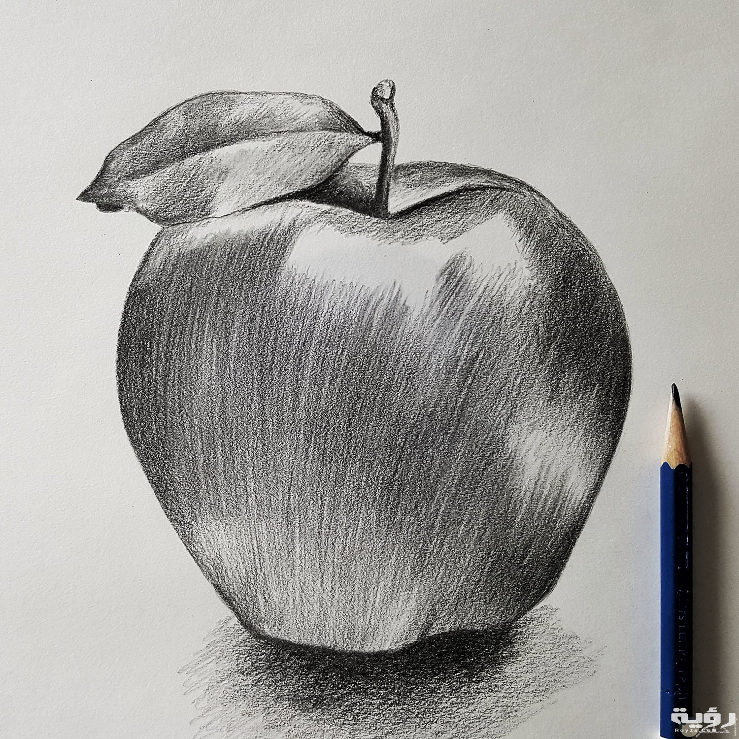 صور رسومات بالرصاص سهلة للمبتدئين 2021