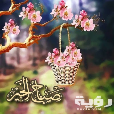 صور صباح الخير1 1