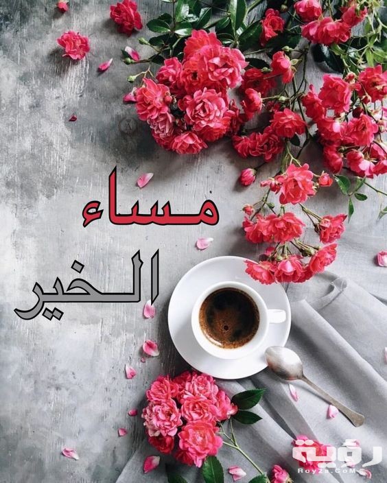 صور مساء الخير 11