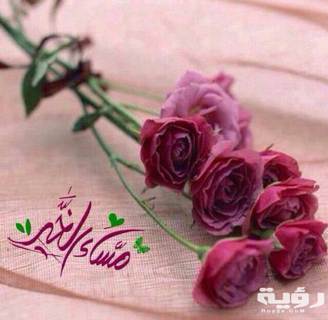 صور مساء الخير حلوة 1