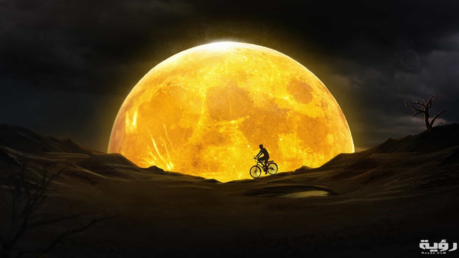 صورجديده202023