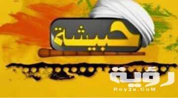تردد قناة حبيشة 7BESHA الجديد 2026