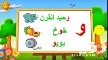 اسم حيوان بحرف و الواو