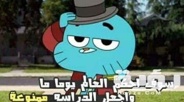 صور خلفيات غامبول 2026 HD للموبايل او للجوال