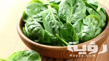 تفسير رؤية السبانخ في المنام