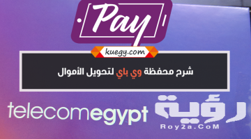طريقة الاشتراك فى خدمة we pay لتحويل الأموال 2026 بالخطوات