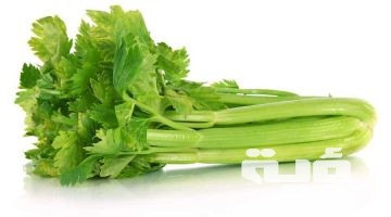 تفسير رؤية الكرفس في المنام