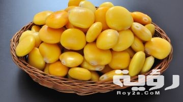 تفسير رؤية الترمس في المنام