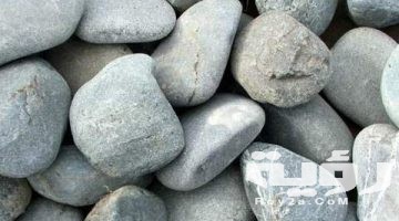 تفسير رؤية الزلط في المنام