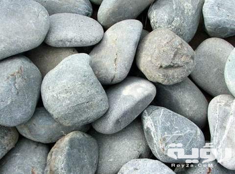 تفسير رؤية الزلط في المنام