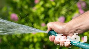 تفسير رؤية رش الزرع في المنام