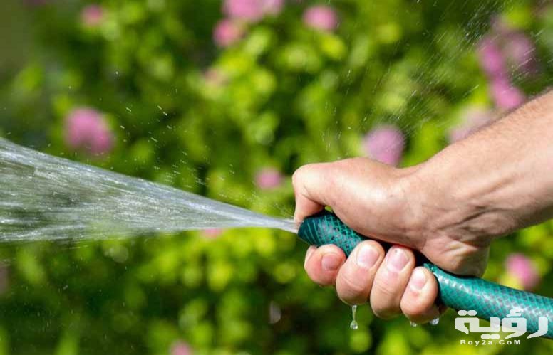 تفسير رؤية رش الزرع في المنام 5 تفسير رؤية رش الزرع في المنام