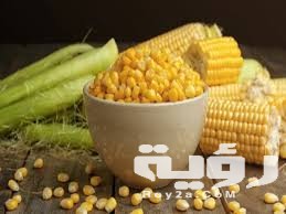 تفسير رؤية الذرة الاصفر في المنام