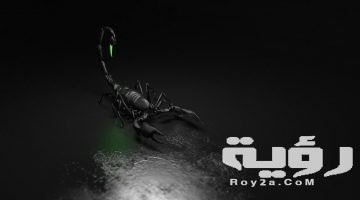 تفسير رؤية العقرب الأسود في المنام