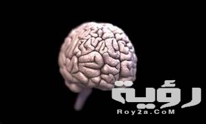 رأيت الدماغ في المنام