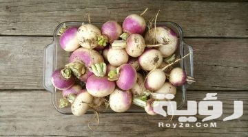 تفسير رؤية اللفت في المنام