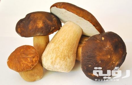 تفسير رؤية الفطر في المنام 5 تفسير رؤية الفطر في المنام