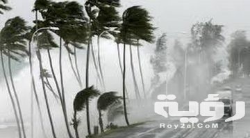 تفسير رؤية الرياح في المنام