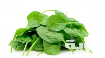حلمت اني أكل سبانخ