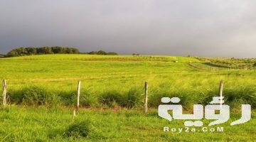 تفسير رؤية الارض في المنام