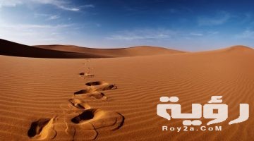 تفسير رؤية الرمل والرمال المتحركة في المنام