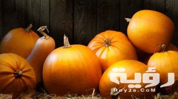 تفسير رؤية القرع في المنام