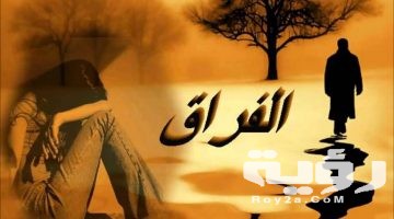 تفسير رؤية وداع الحبيب في المنام