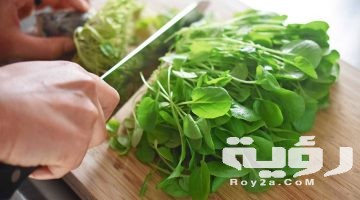 تفسير رؤية الجرجير في المنام