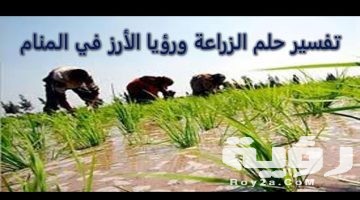 تفسير رؤية زراعة الارض في المنام