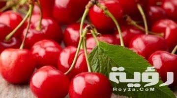 تفسير رؤية الكرز في المنام