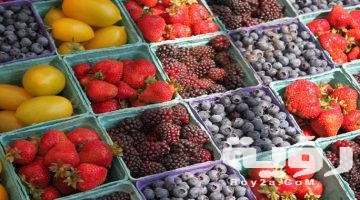 تفسير رؤية الفكهاني في المنام