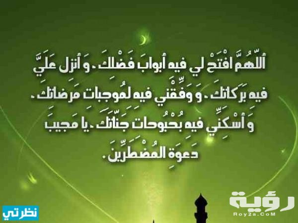 دعاء 24 رمضان الرابع والعشرين من رمضان مكتوب 5 دعاء 24 رمضان الرابع والعشرين من رمضان مكتوب
