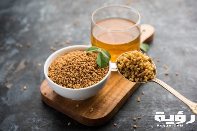 تفسير رؤية الحلبة في الحلم